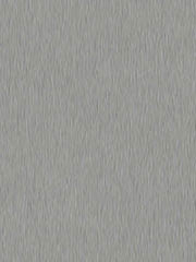 Inox Szary