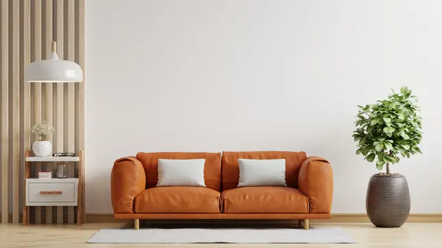 Salon w kolorze pomarańczowym z pomarańczową kanapą, styl minimalistyczny. Element charakterystyczny: pomarańczowa kanapa