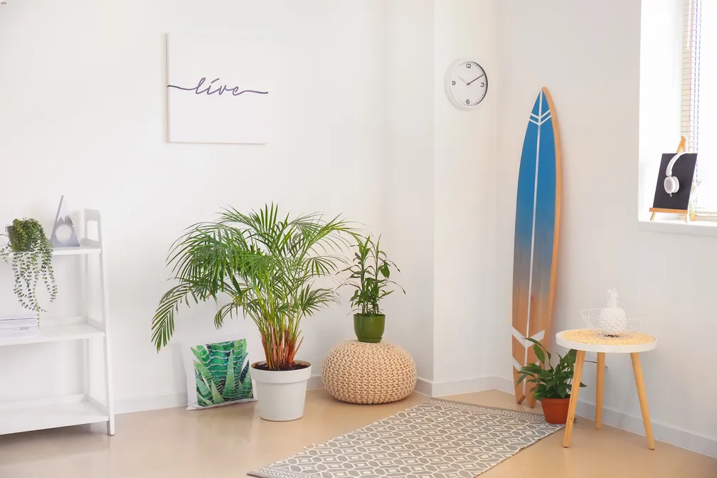 Salonw stylu hampton z eleganckimi roślinami i deską do surfowania